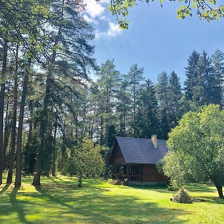 Villa Rojaus Slenis Druskininkai Exterior foto