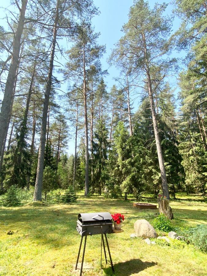 Villa Rojaus Slenis Druskininkai Exterior foto