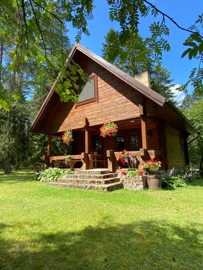 Villa Rojaus Slenis Druskininkai Exterior foto