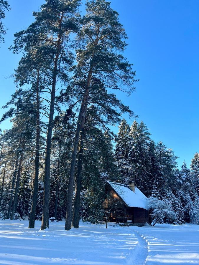 Villa Rojaus Slenis Druskininkai Exterior foto
