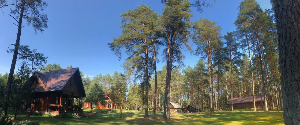 Villa Rojaus Slenis Druskininkai Exterior foto